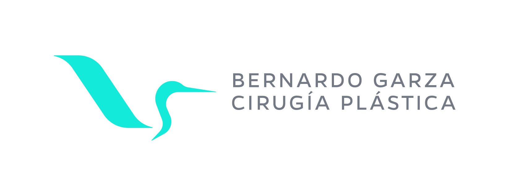Bernardo Garza Cirugía Plástica